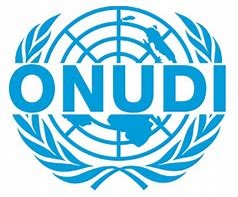 ONUDI, partenaire d'ECTI